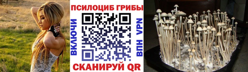 Галлюциногенные грибы ЛСД  Краснообск 
