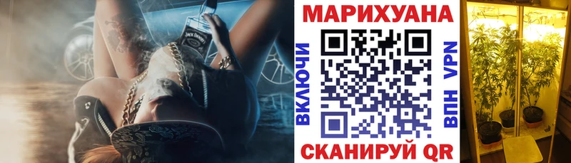 Конопля SATIVA & INDICA продажа наркотиков Краснообск